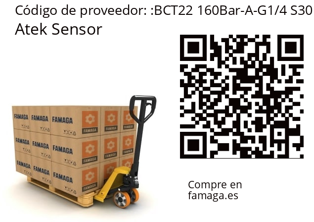   Atek Sensor BCT22 160Bar-A-G1/4 S30
