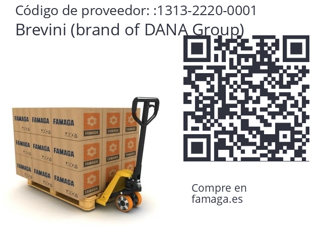  Brevini (brand of DANA Group) 1313-2220-0001