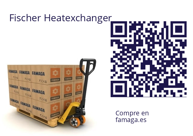  E61 Fischer Heatexchanger 