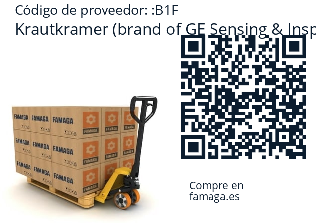   Krautkramer (brand of GE Sensing & Inspection Technologies) B1F