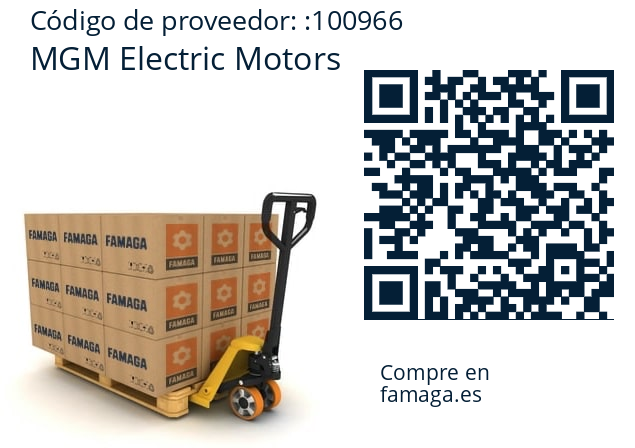   MGM Electric Motors 100966