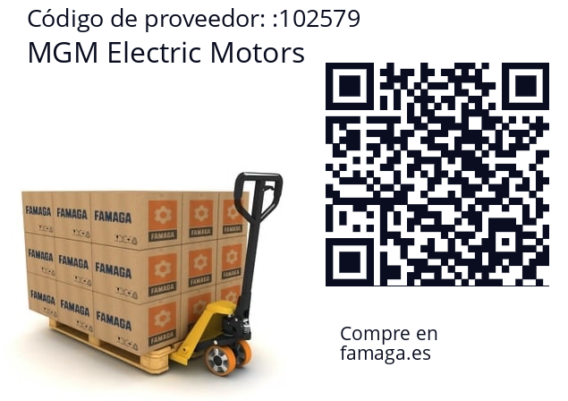   MGM Electric Motors 102579