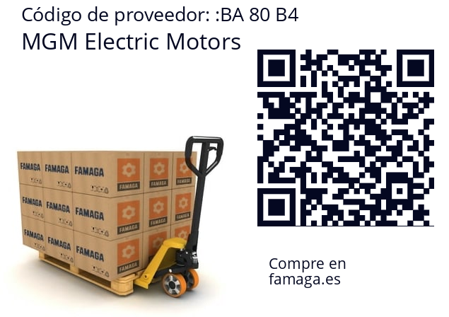   MGM Electric Motors BA 80 B4