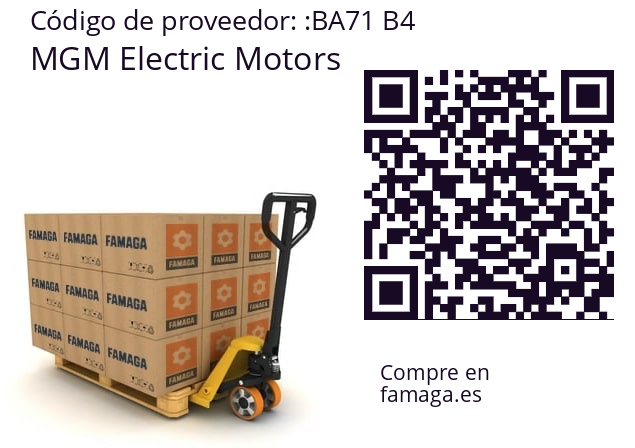   MGM Electric Motors BA71 B4