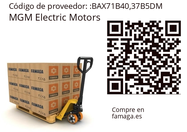   MGM Electric Motors BAX71B40,37B5DM