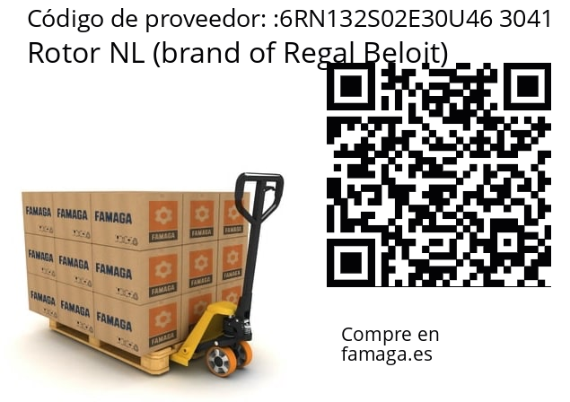  Rotor NL (brand of Regal Beloit) 6RN132S02E30U46 3041