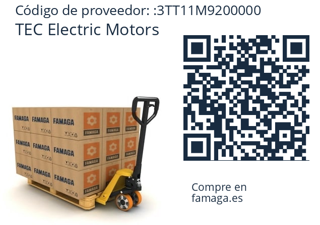   TEC Electric Motors 3TT11M9200000