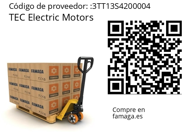   TEC Electric Motors 3TT13S4200004