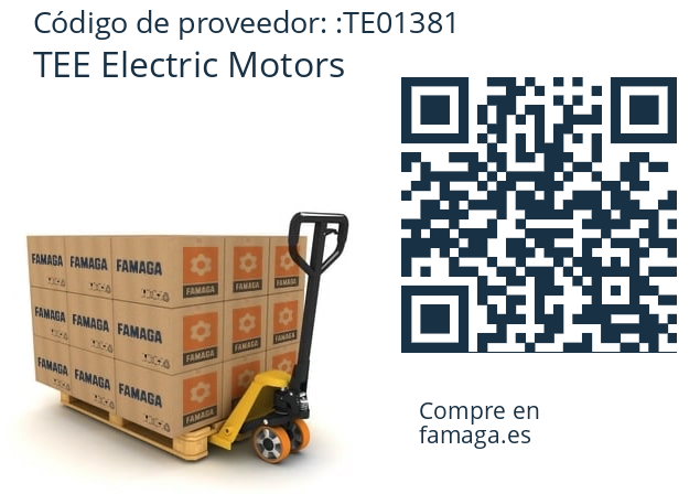   TEE Electric Motors TE01381