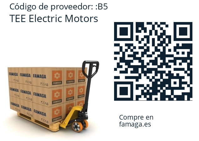   TEE Electric Motors B5