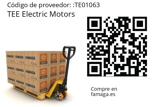  TEE Electric Motors TE01063