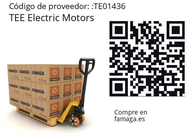   TEE Electric Motors TE01436