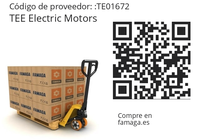   TEE Electric Motors TE01672